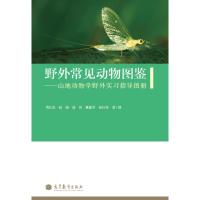 野外常见动物图鉴--山地动物学野外实习指导图册-周长发 赵强 高伟 戴建华 孙红英