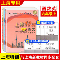 上海特训 六年级上册 语文数学英语 6年级第一学期 上海同步辅导初中知识点归纳基础强化训练单元卷期中期末测试卷 上海特
