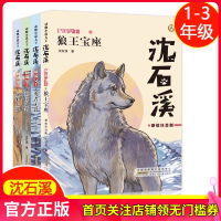 狼王宝座 王位之争 勇者无畏 虎狼大战 彩绘注音版 一二三年级1-2-3年级小学生课外阅读书籍 寒暑假书籍沈石溪的书动