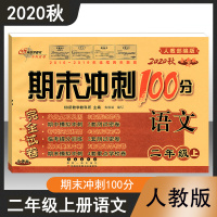 [正版]2020秋新版 期末冲刺100分二年级上册语文RJ配套人教版同步练习与测试小学2年级教辅资料卷子学校教科所期