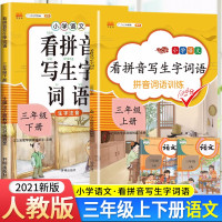 [正版][自选]2021版小学语文看拼音写生字词语三年级上下册人教版练字帖生字注音专项训练习字本写字练习