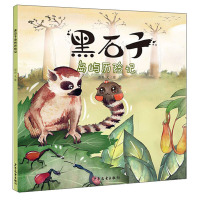 【正版】上海少年儿童 黑石子系列：黑石子岛屿历险记 彭彭
