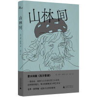 [正版]区域 广西师范大学 山林间 (意)毛罗·科罗纳