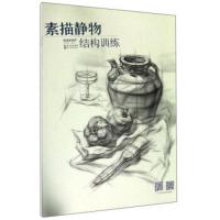 [正版]湖北美术 素描静物结构训练 程伟明