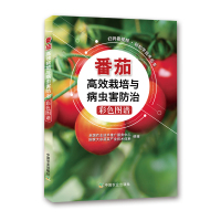 【正版】番茄高效栽培与病虫害防治彩色图谱/扫码看视频轻松学技术丛书