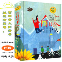 [正版]向日葵中队 阳光成长书系 刷刷 著 非注音文学 入选 优秀儿童文学出版工程 中国好书 桂冠童书奖 三四五六年