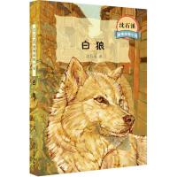 【正版】沈石溪激情动物小说：白狼沈石溪著 青少年中小学生课外读物 自然科普图书图书 小学生三四五六年级课外阅读图书动