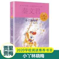 [正版]小丫林晓梅 秦文君贾里贾梅大系 小学生课外阅读书籍 儿童文学书 儿童书籍 课外书 7-12岁 书籍 书