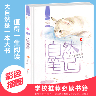 [正版]篮猫故事自然笔记金波儿童自然小说系列彩色插图版 9-12岁小学生大自然认知文学散文童话故事书三四五年级课外书