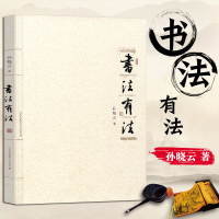 [正版]书法有法 平装 孙晓云书法作品集精选 中国传世书法 鉴赏导读名家作品经典书法文化分析与训练典籍书法理论