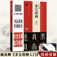 [正版]颜真卿多宝塔碑入门翁志飞视频全覆盖名师视频讲解示范毛笔书法字帖字帖原碑原帖楷书教程临摹初学者河南美术出版社