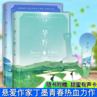[正版] 共2册 挚野1+2完结篇 丁墨 你和我的倾城时光之后丁墨新书 丁墨的书全套 丁墨作品集 悬爱小说 美人为馅