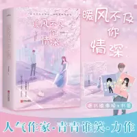 [正版] 飞机盒+海报+书签 暖风不及你情深 共3册 青青谁笑著暖风不及你情深 世间唯有墨景深 青春文学言情小说书