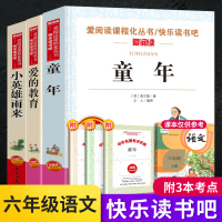 [正版]2021新版童年 爱的教育小英雄雨来全套3册快乐读书吧六年级上册课外高尔基着原著完整版六年级上册课外阅读