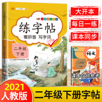 【正版】二年级下册练字帖儿童幼儿园人教版控笔训练字帖女生字体漂亮生字本笔画笔顺同步练字帖小学生专用行楷字帖练字成