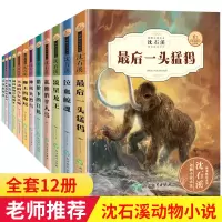 [正版]沈石溪动物小说大王全集套装全套12册珍藏版的书全系列小学生课外阅读书籍三四五六年级单本儿童读物寒假下册