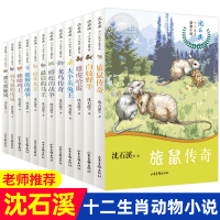 [正版]沈石溪十二生肖动物小说全套12册 后的马王 雄猴的战争 小学生中学生课外阅读书籍少年儿童6-9-12-15周岁