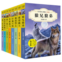 [正版]中外动物小说升级版第四辑全8册 沈石溪动物小说系列 狼兄狼弟 流浪猫王 9-12-15岁儿童文学三四五六年级小学