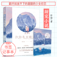 [正版] 许你冬至晴天 析伽著大鱼文化系列 现代都市青春文学少女初恋霸道总裁言情小说书籍 被冷藏的失忆继承者V一撩就跑小