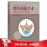 B[保障]脊柱内镜手术策略与操作图谱沈慧勇 唐勇9787535967947广东科技出版社