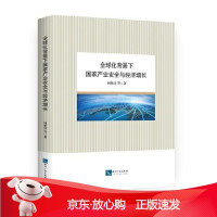 B[保障]化背景下国家产业安全与经济增长何维达9787513046008知识产权出版社