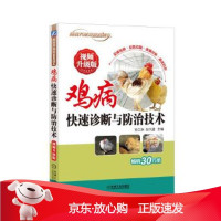 B[保障]鸡病快速诊断与防治技术 视频升级版孙卫东9787111592990机械工业出版社