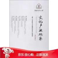 B[保障]文化产业观察 第4辑华东政法大学传播学院文化产业管理系9787513059985知识产权