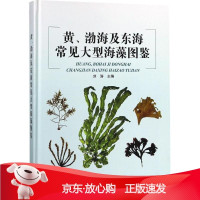 B[保障]黄、渤海及东海常见大型海藻图鉴刘涛9787521000597中国海洋出版社