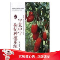B[保障]宁夏中宁枸杞种植系统梁勇,闵庆文,王海荣 编9787109227774中国农业出版社