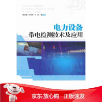 B[保障]电力设备带电检测技术及应用周求宽, 刘明军, 刘衍9787566819260广州暨南大学