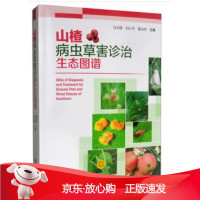 B[保障]山楂病虫草害诊治生态图谱冯玉增\\刘小平\\黄治学...9787521902259中国林