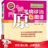 B[保障]羊病诊治原色图谱-版王林枫,辛国省9787534970870河南科学技术出版社