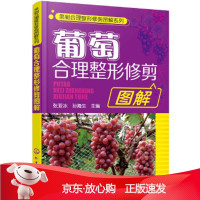 B[保障]果树合理整形修剪图解系列--葡萄合理整形修剪图解张亚冰,孙海生 主编