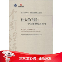 B[保障]伟大的飞跃:中国能源发展40年国家发展改革委宏观经济研究院能源研究所