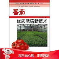B[保障]番茄优质栽培新技术·农业科技创新实用技术丛书曹华9787508290584金盾出版社