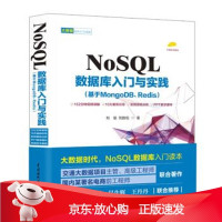 B[保障]NoQL数据库入门与实践刘瑜,刘胜松9787517060840中国水利水电出版社