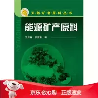 B[保障]天然矿物原料丛书--能源矿产原料王月春,张淑谦 编9787122162922化学工业出版
