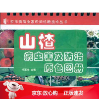 B[保障]山楂病虫害及防治原色图册冯玉增9787508264165金盾出版社
