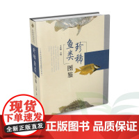 B珍稀鱼类图鉴-大连自然博物馆馆藏精品系列辽宁师范大学出版社