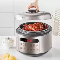 苏泊尔(SUPOR)电压力锅 家用电高压锅双胆球釜 5L智能多功能 高压煮饭煲汤锅 特有低温烹饪功能