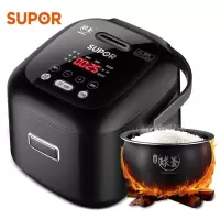 苏泊尔(SUPOR)迷你电饭煲小型家用智能预约1-2-3人球釜电饭锅多功能蒸饭锅2升容量煮饭锅 黑色球釜版