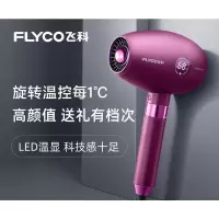 飞科(FLYCO)电吹风机家用负离子护发大功率专业发型师吹风筒 木槿紫