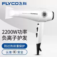 飞科(FLYCO)电吹风家用大功率吹风筒旅行负离子吹风机冷热风理发店发廊新老款随机 雪白色
