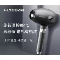 飞科(FLYCO)电吹风机家用负离子护发大功率专业发型师吹风筒 象牙黑