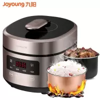 九阳(Joyoung)电压力锅家用智能4\/5\/6L一锅双胆多功能电压力煲高压锅全自动 (4L双胆 可焖炖煮)