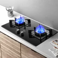 美的(Midea) 燃气灶 家用 5.0KW大火力 不锈钢面板 台嵌两用 双灶 [厨神灶]5.0KW大火力液化气