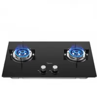 美的(Midea) 燃气灶 双灶 天然气灶 4.2kw大火力灶具 煤气灶家用节能猛火灶一级能效 4.2KW大火力 液化