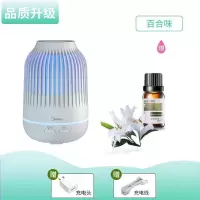 美的(Midea)usb加湿器迷你家用卧室宿舍车载空调房学生香薰精油小型 2020品质款+[一瓶百合+USB线+插头