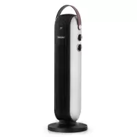 飞利浦(PHILIPS)立式取暖器家用客厅小型节能浴室大面积暖气速热婴儿暖风机 黑+银 AHR2142FA
