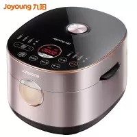 九阳(Joyoung)电饭煲4L家用3-6人适用大容量智能多功能柴火饭家用电饭煲 [4L容量]